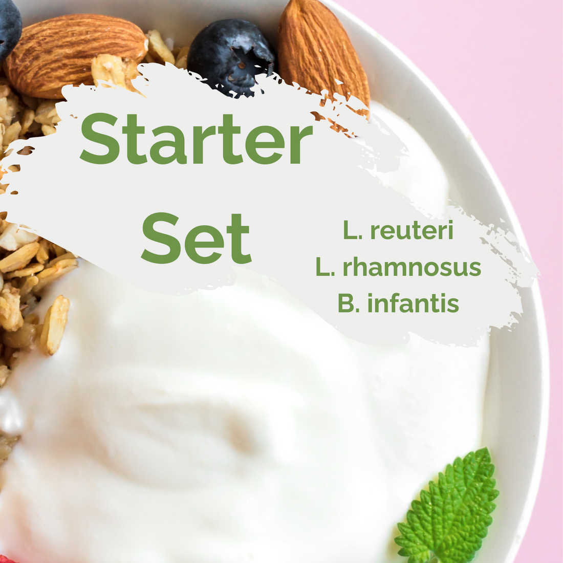 How to Rebuild Your Microbiome with Lost Species – Homemade Yogurt with L. reuteri, L. rhamnosus and B. infantis