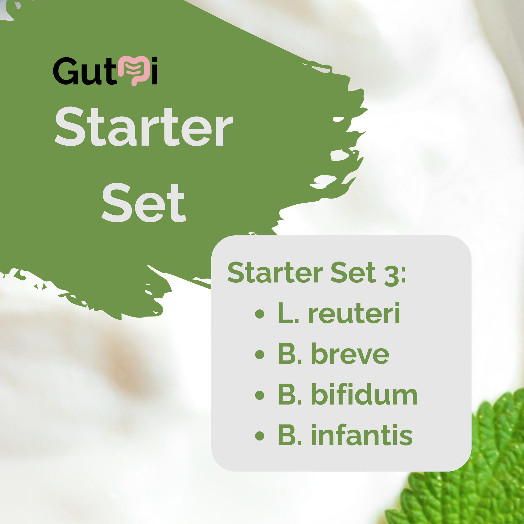 L. reuteri + B. breve + B. bifidum + B. infantis | Yogurt Starter Set | Calm Gut | Starter Cultures | Pack of 3
